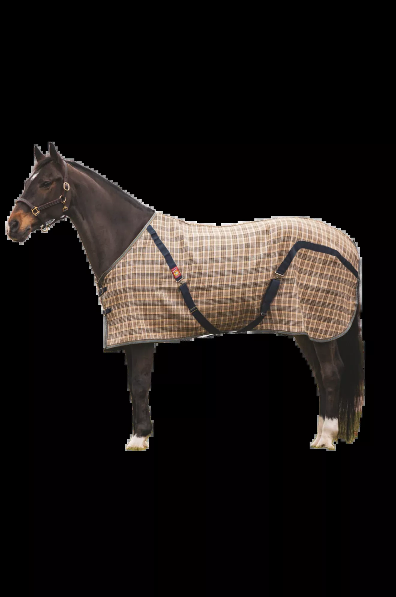 Baker Stable Sheet