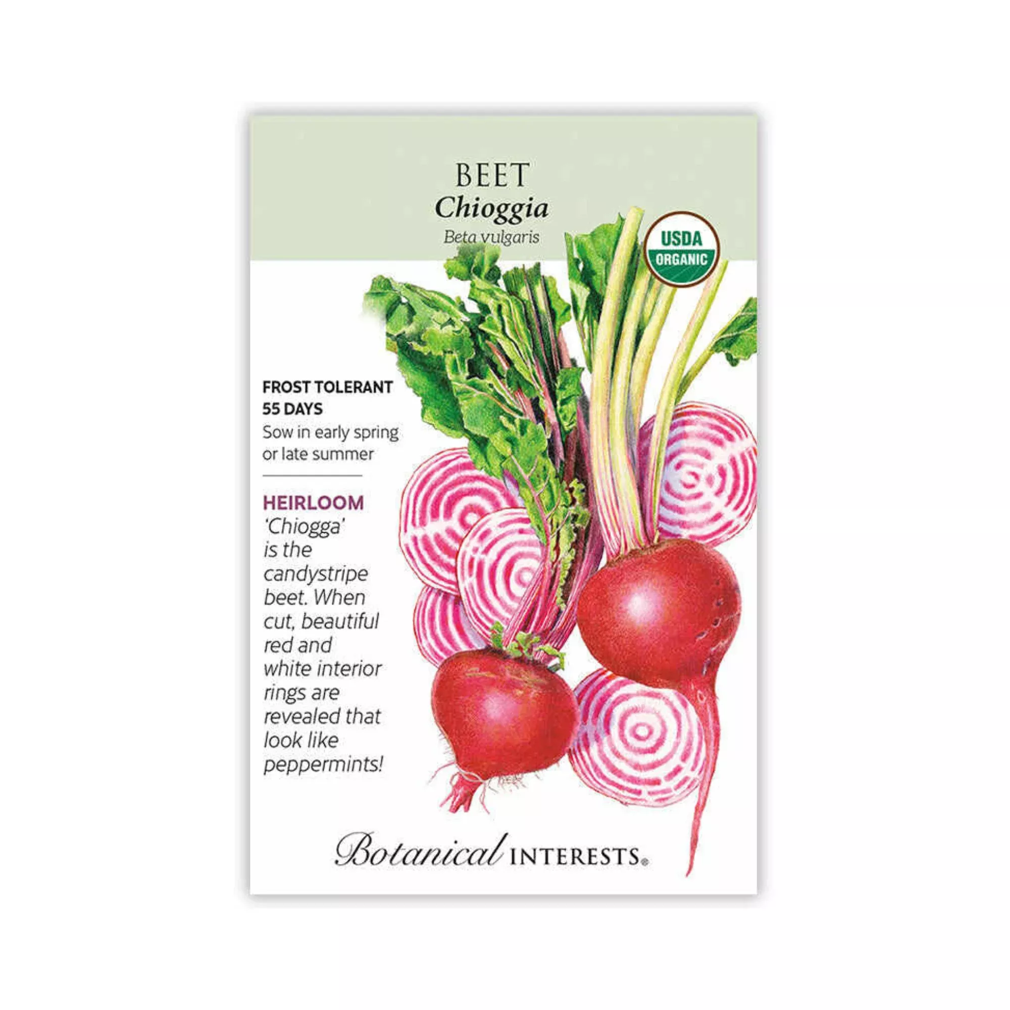 Beet Striped Chioggia