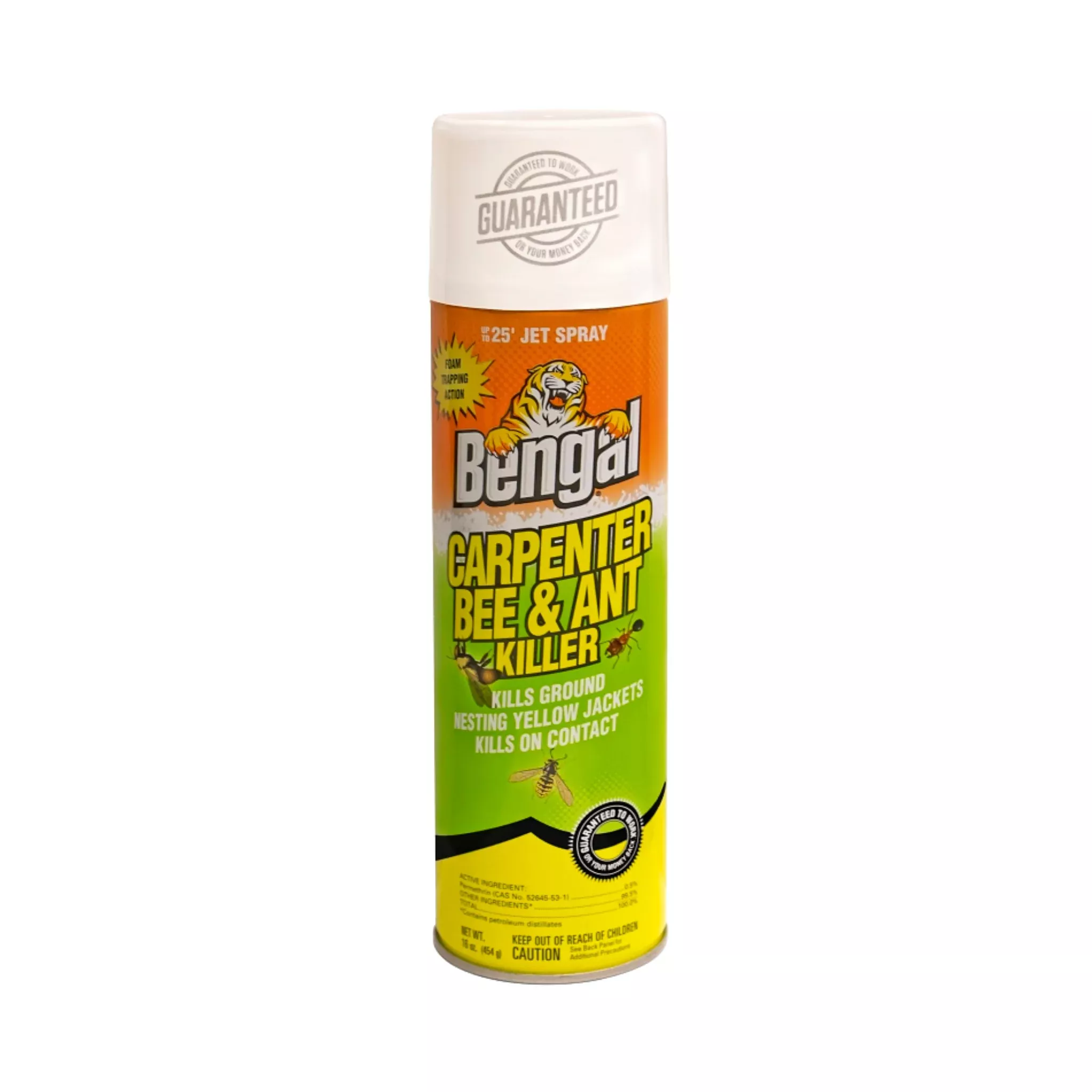 Bengal Carpenter Bee & Ant Killer
