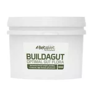 BetaVet Buildagut