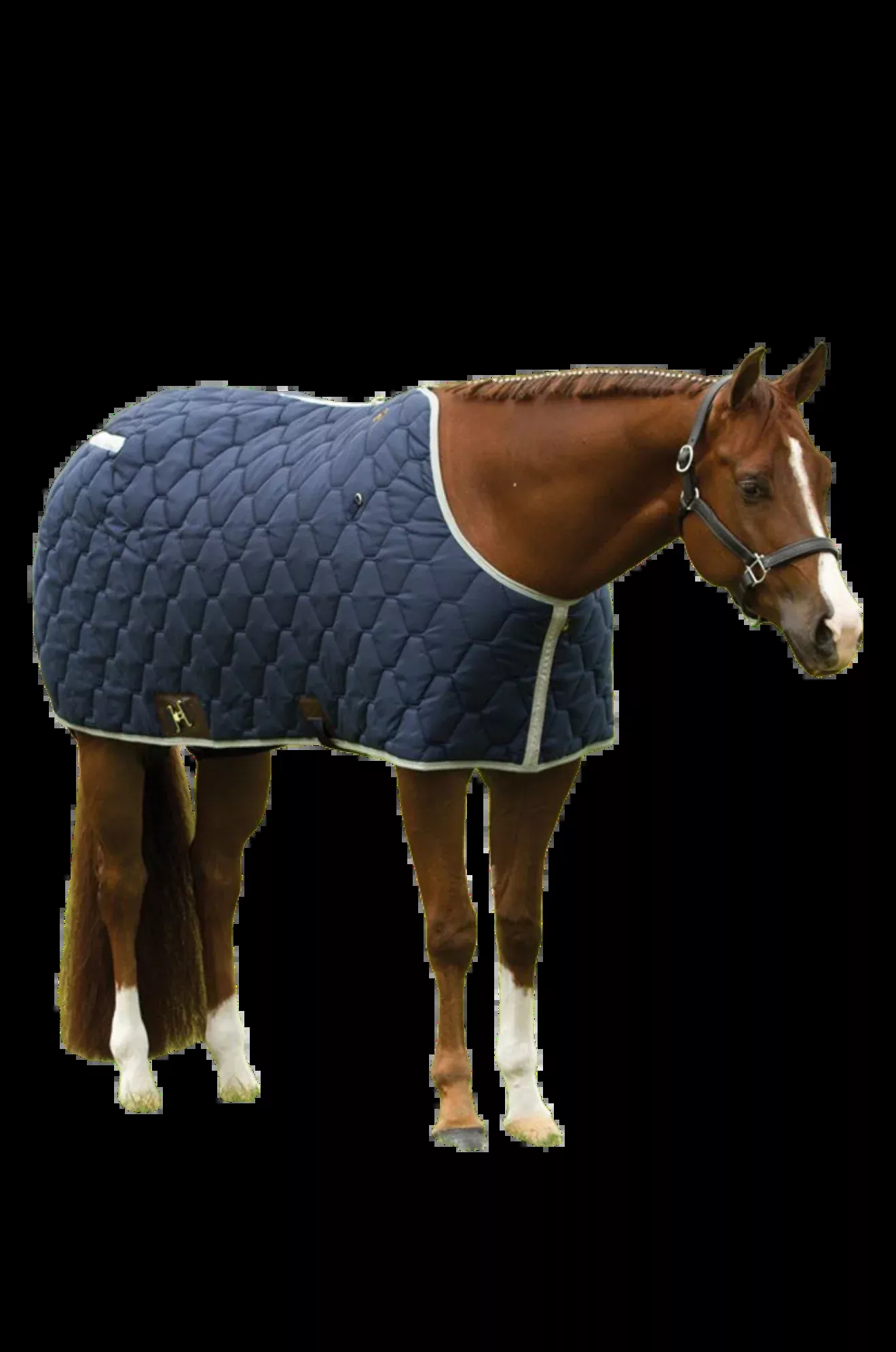 Big D Closed Front All American Blanket