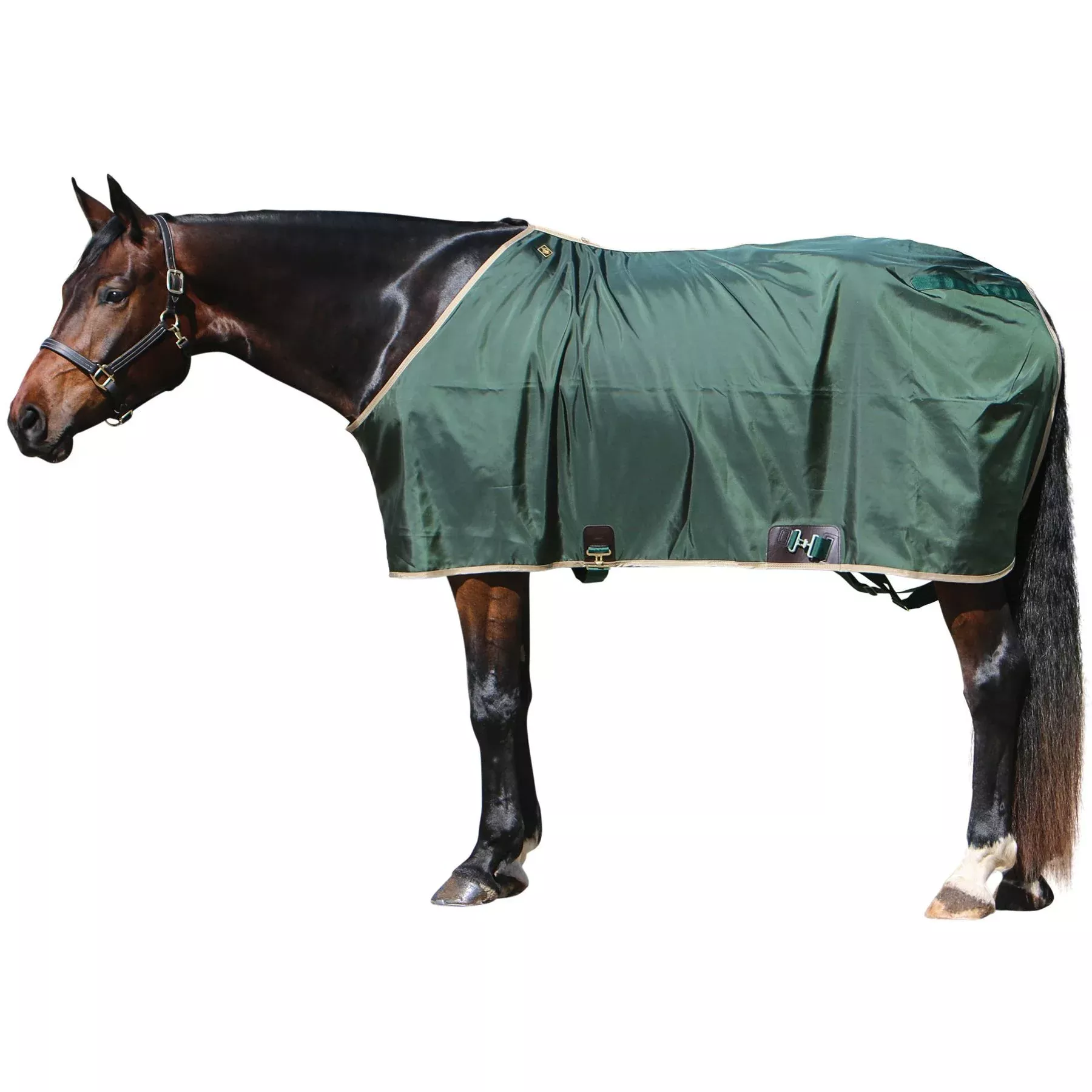 Big D Closed Front Nylon Stable Sheet