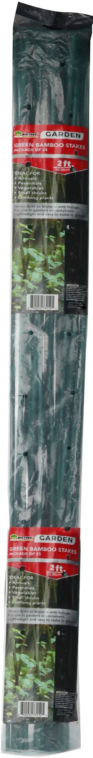Bigtree Packaged Green Bamboo Stakes 2 ft 25 Pack