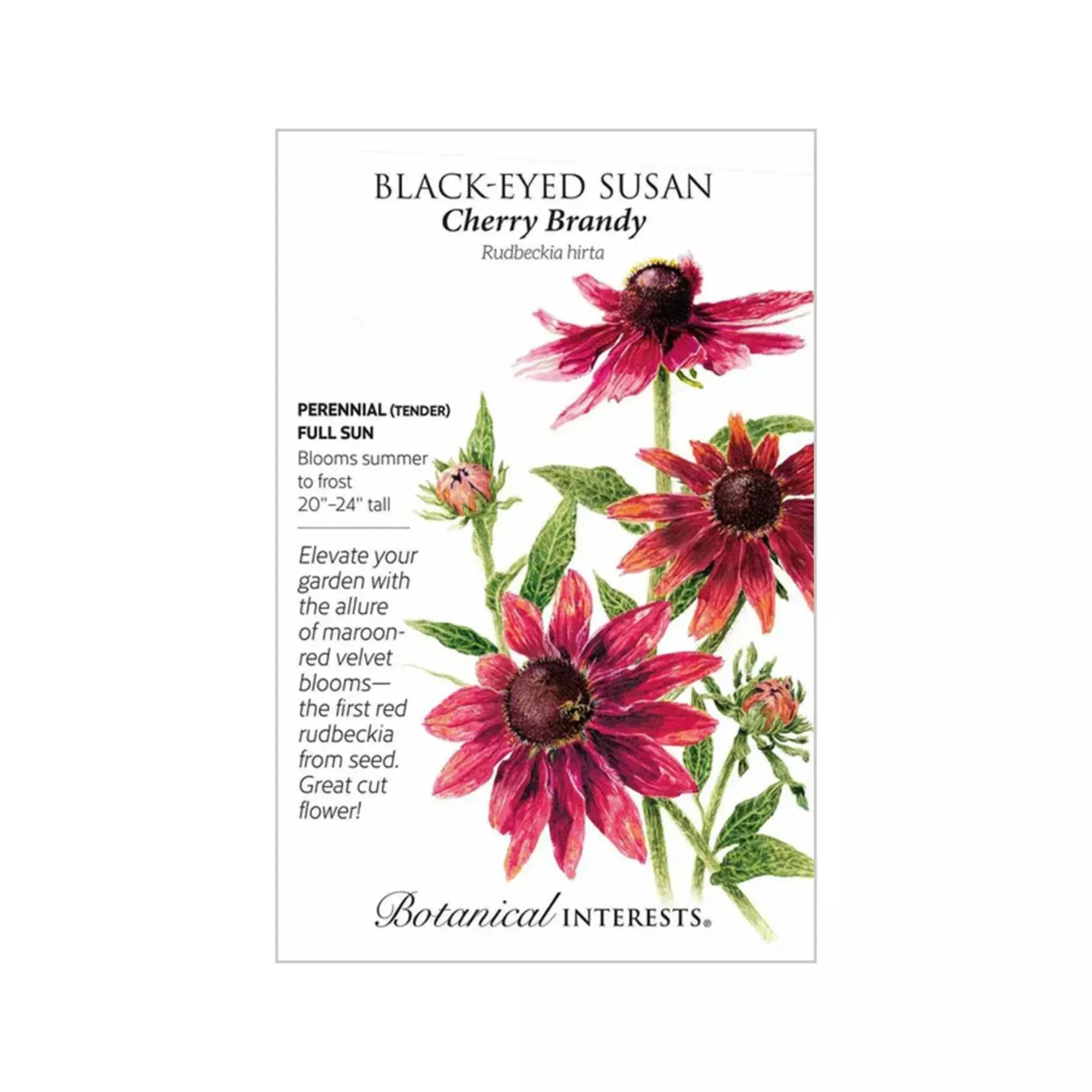 Black-Eyed Susan Cherry Brandy