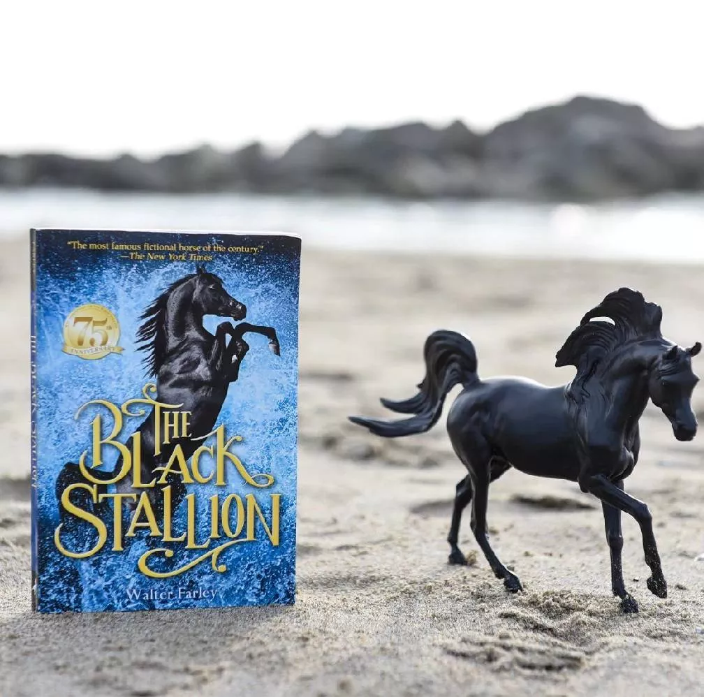 Black Stallion Horse & Book Set