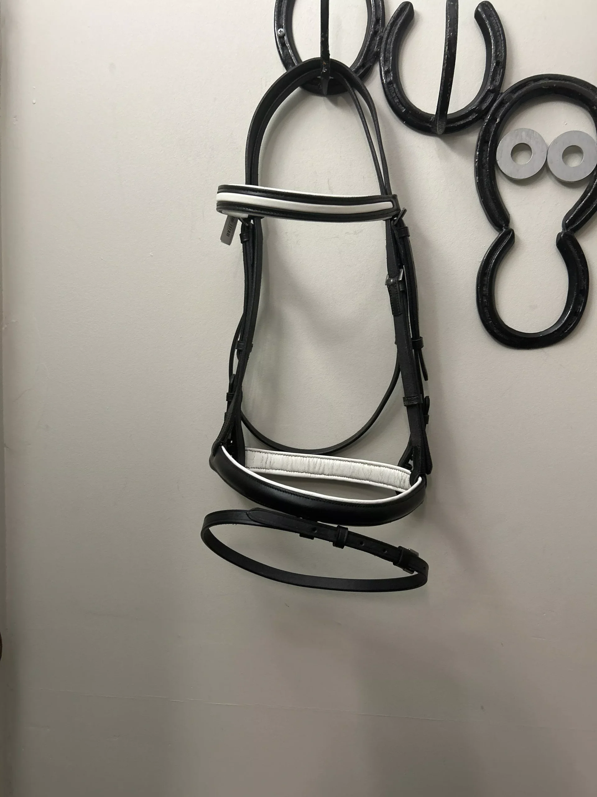 Black and White English Bridle Cob