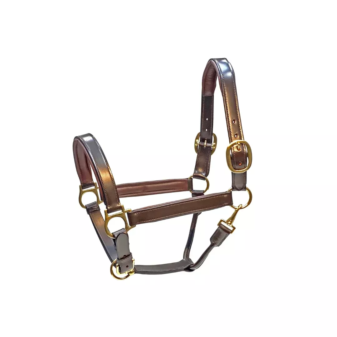 Blakely Deluxe Padded Halter