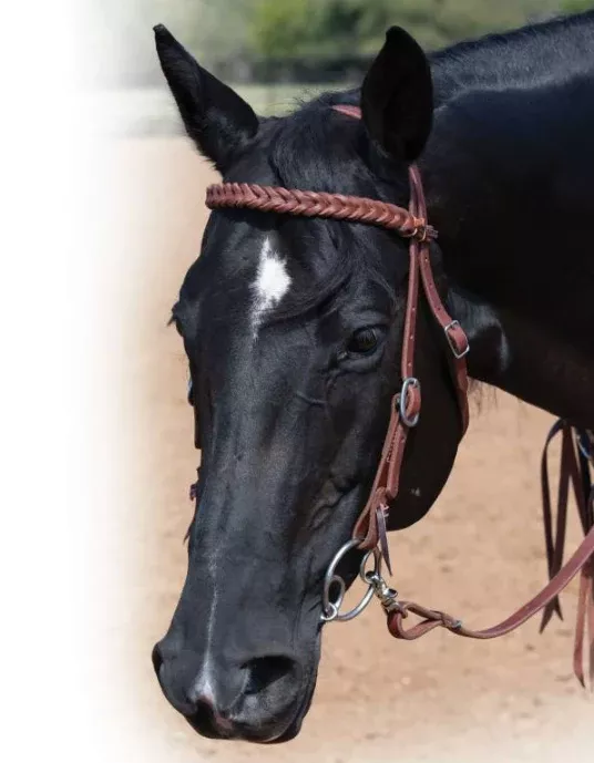 Bleeding Heart Browband Headstall 5/8"