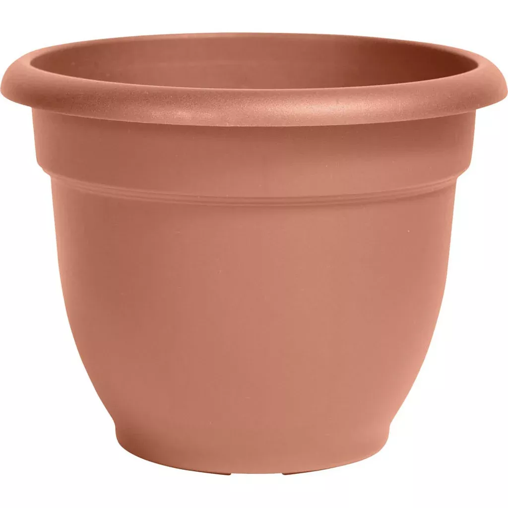 Bloem Ariana Planter, 12 in, Terracotta