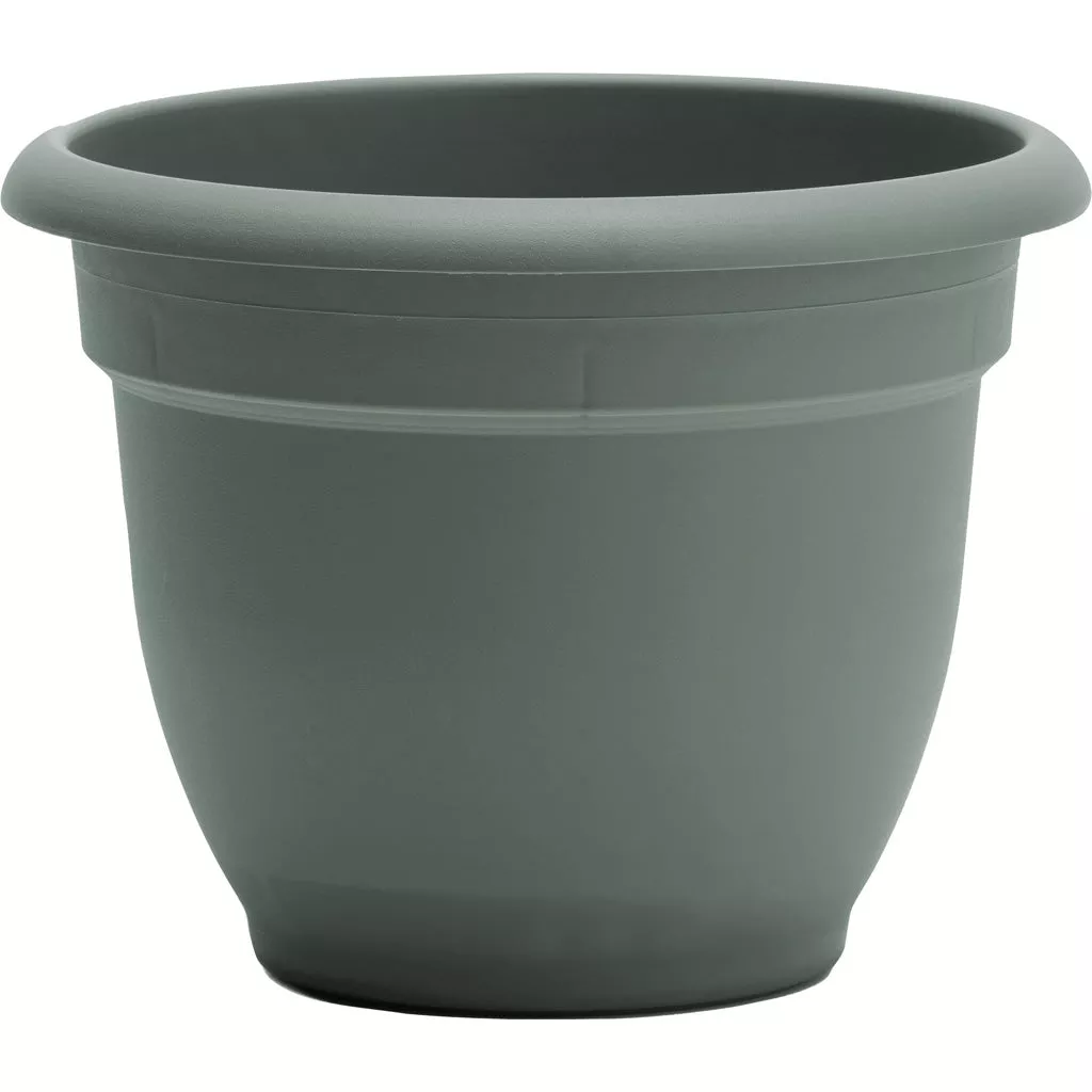 Bloem Ariana Planter, 16 in, Basil