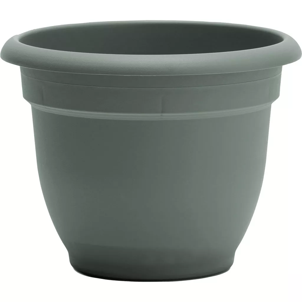 Bloem Ariana Planter, 6 in, Basil