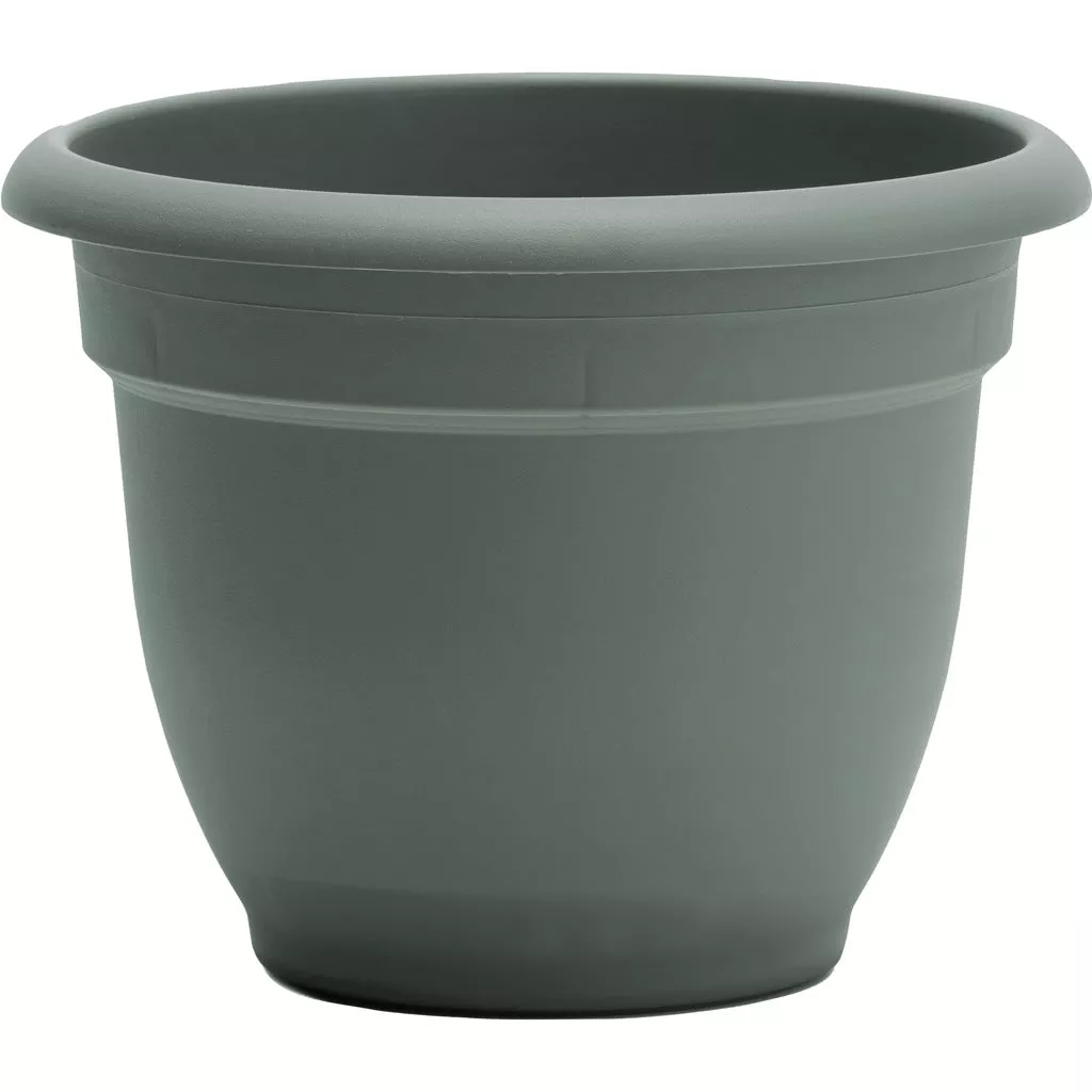Bloem Ariana Planter, 8 in, Basil