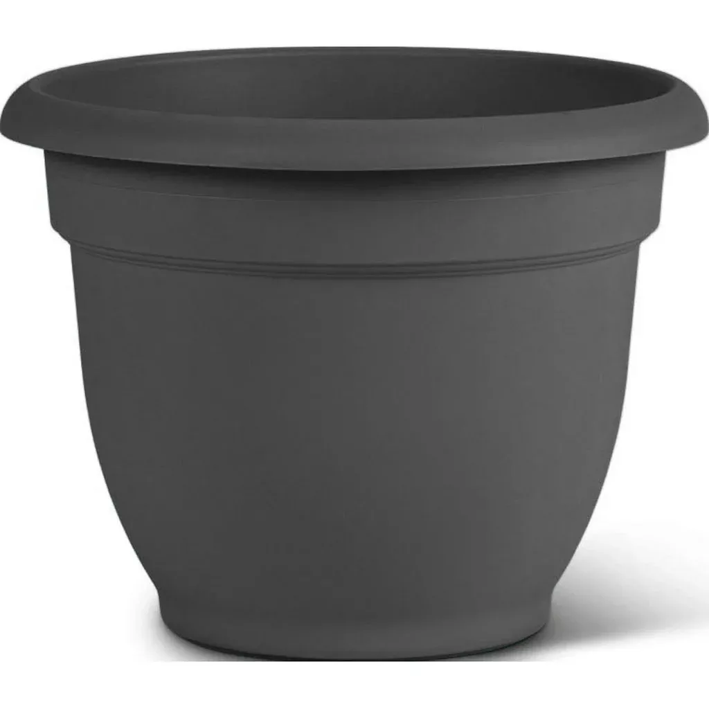 Bloem Ariana Planter, 8 in, Charcoal