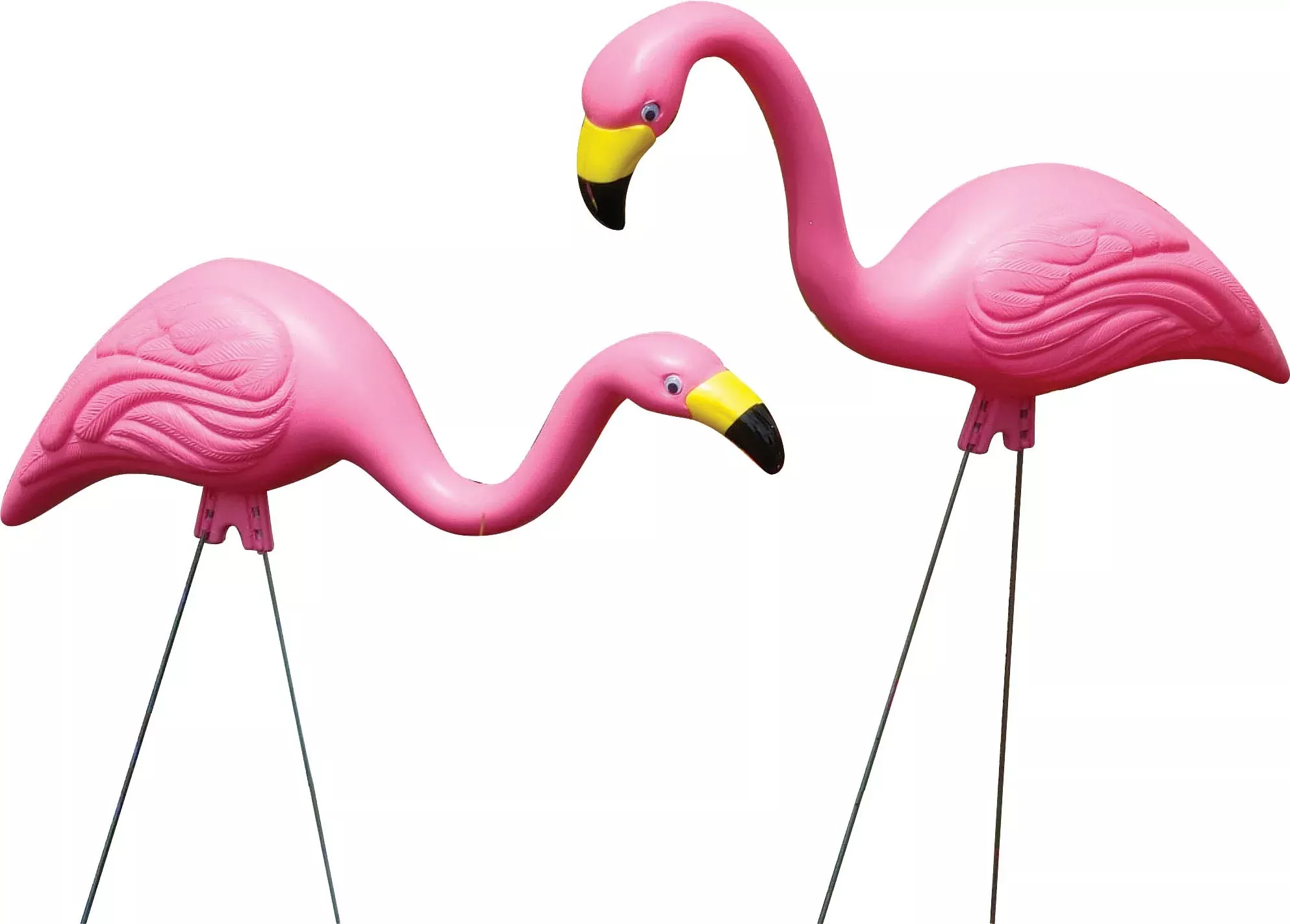 Bloem Pink Flamingo lg-2 PK