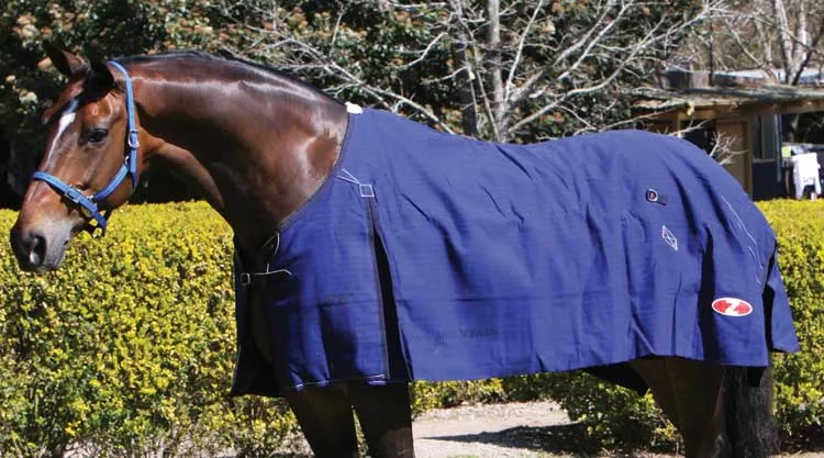 Blue Mountain Rug