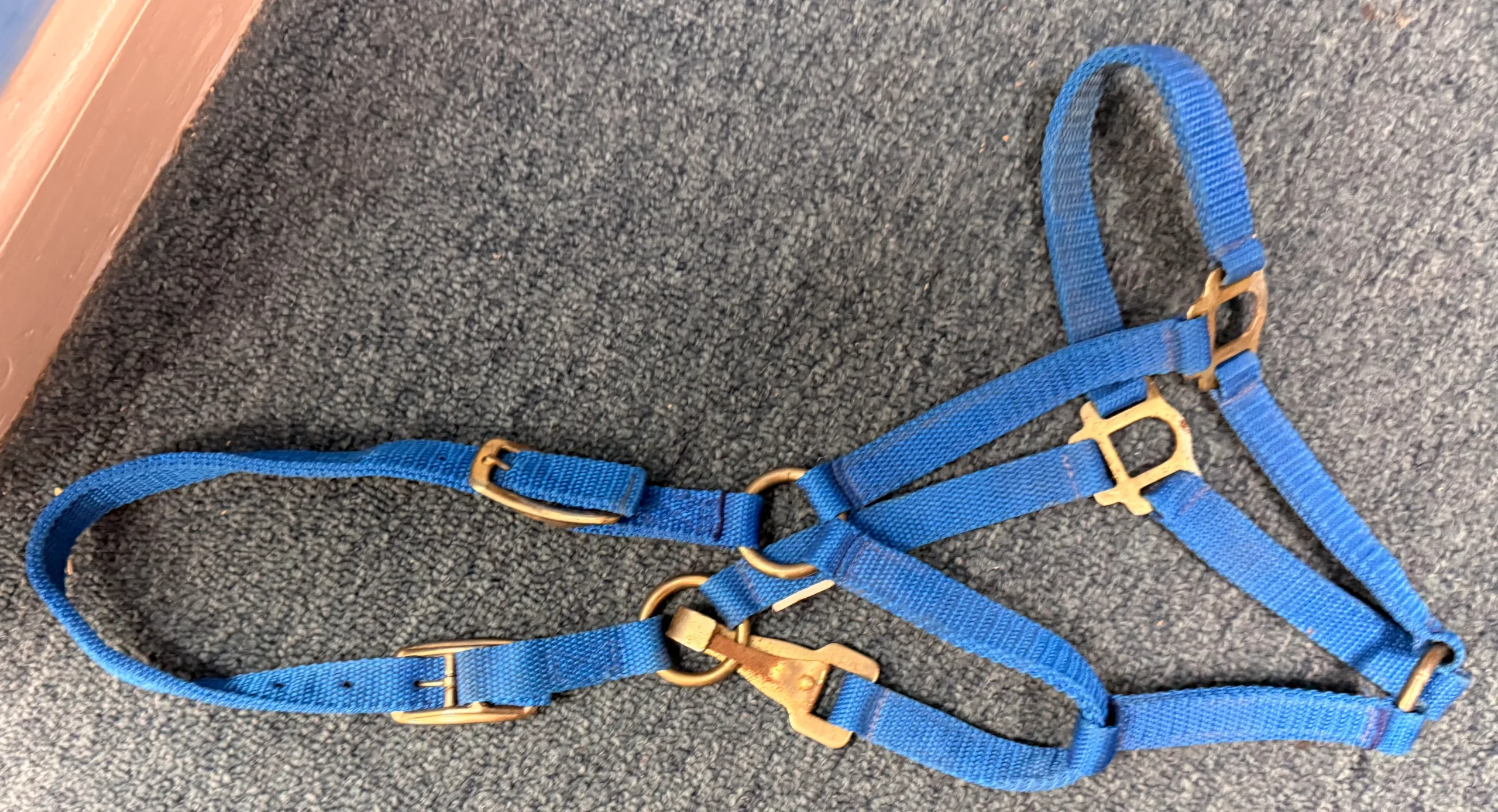 Blue Nylon Pony Halter