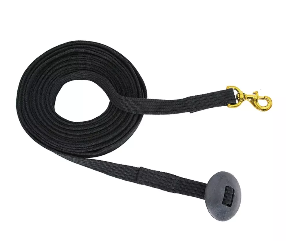 Blue Tag Lunge Lead