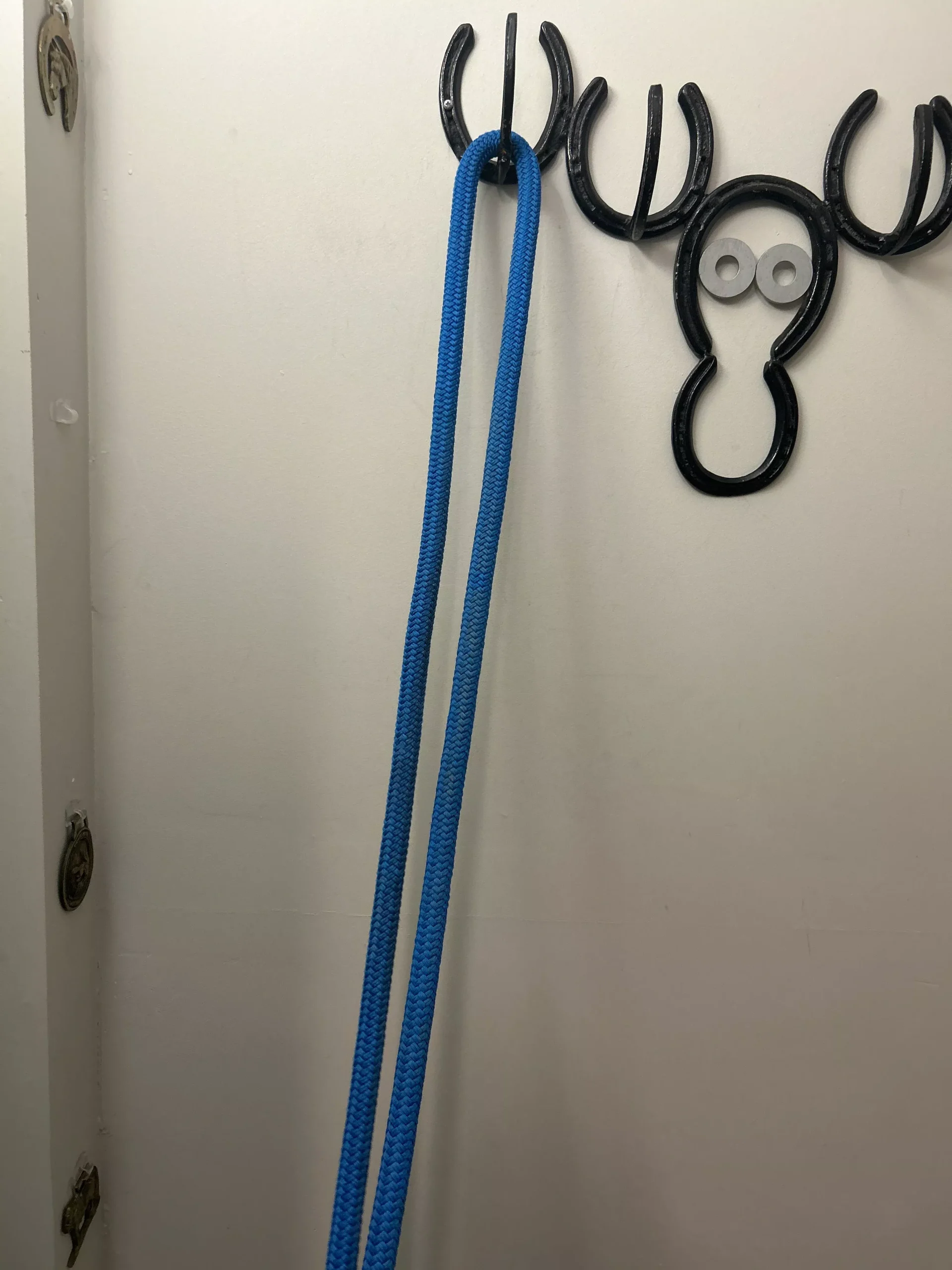 Blue Yacht Rope Reins 9'