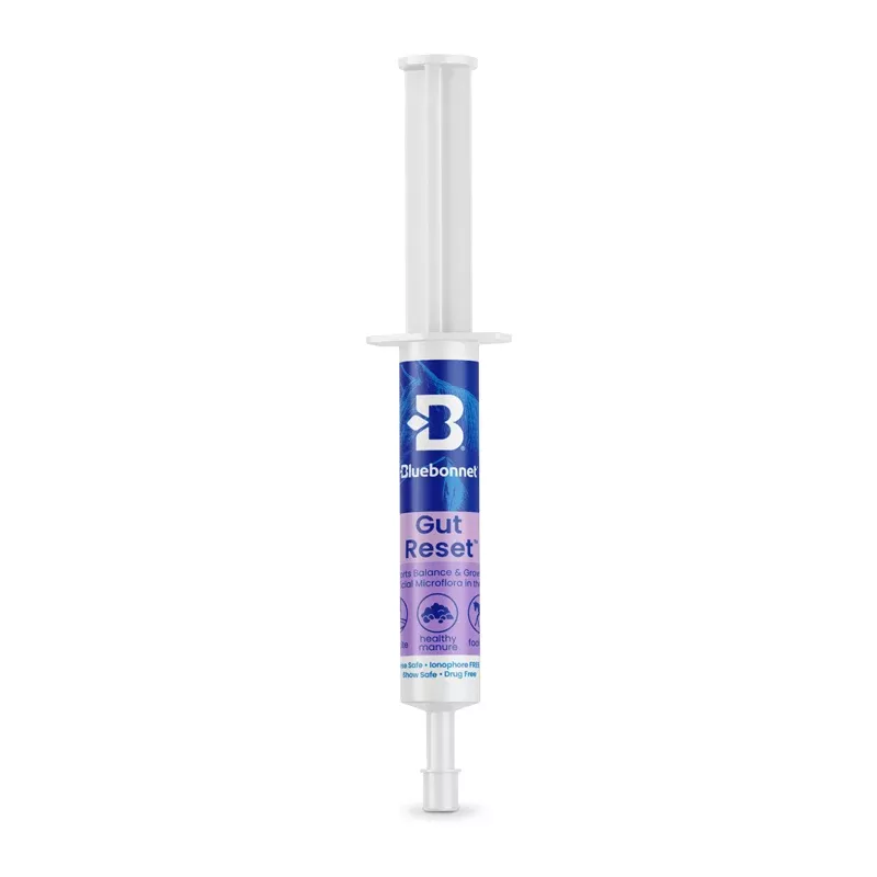 Bluebonnet - Gut Reset™ Paste