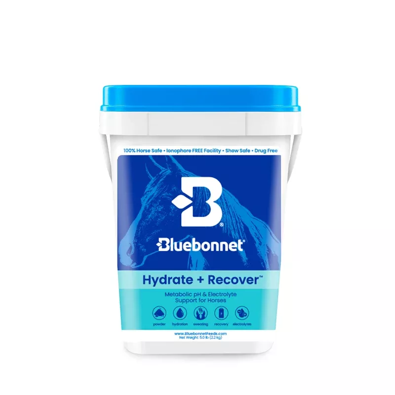 Bluebonnet - Hydrate + Recover™