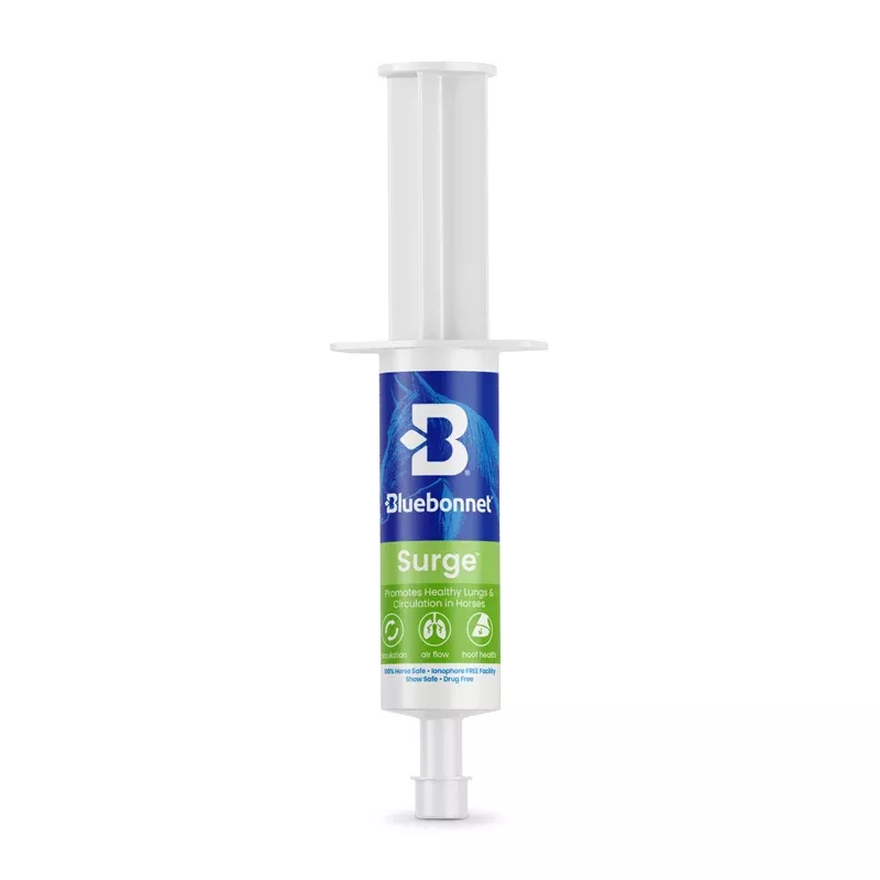 Bluebonnet - Surge™ Paste