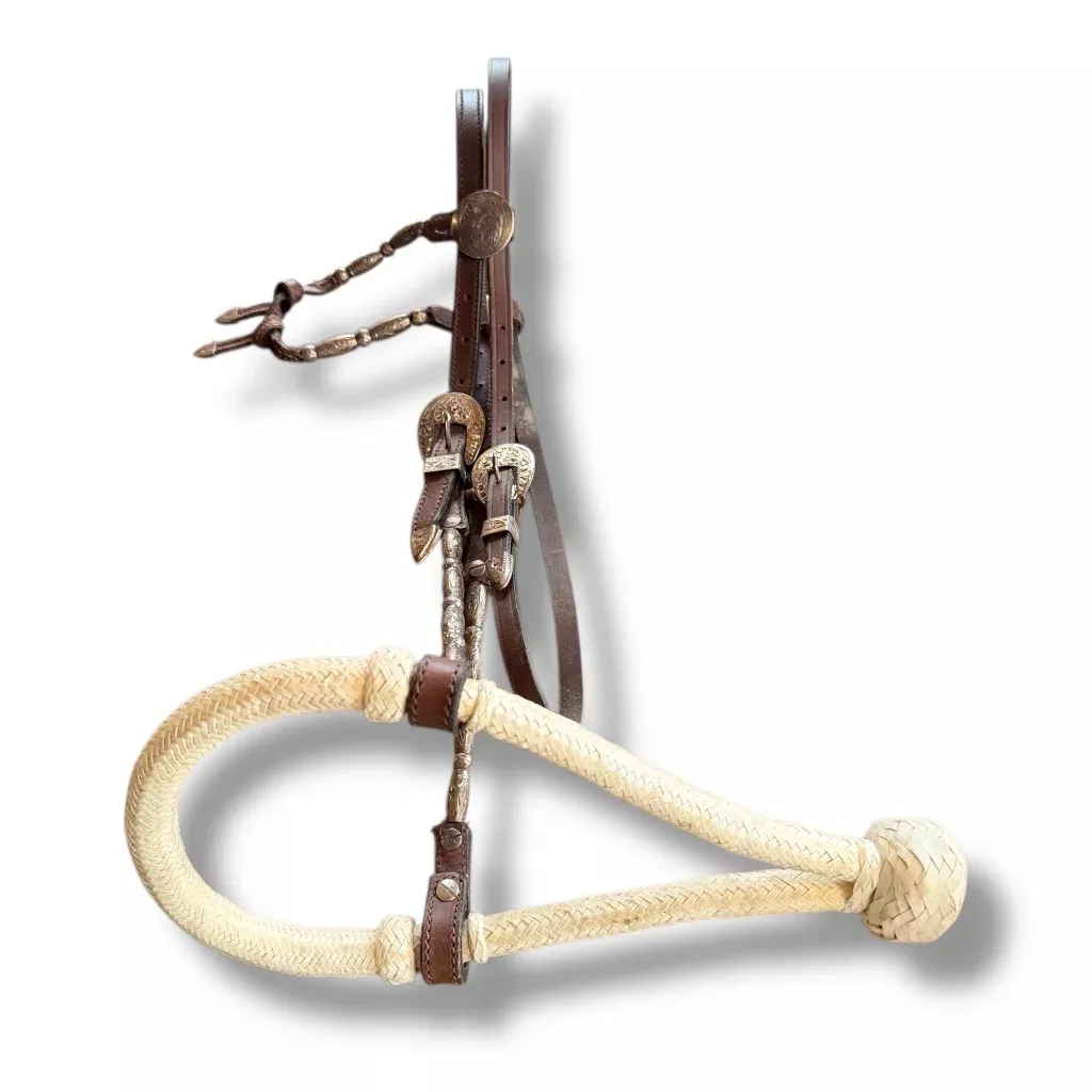 Bosal