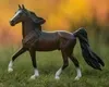Breyer Bay Morgan