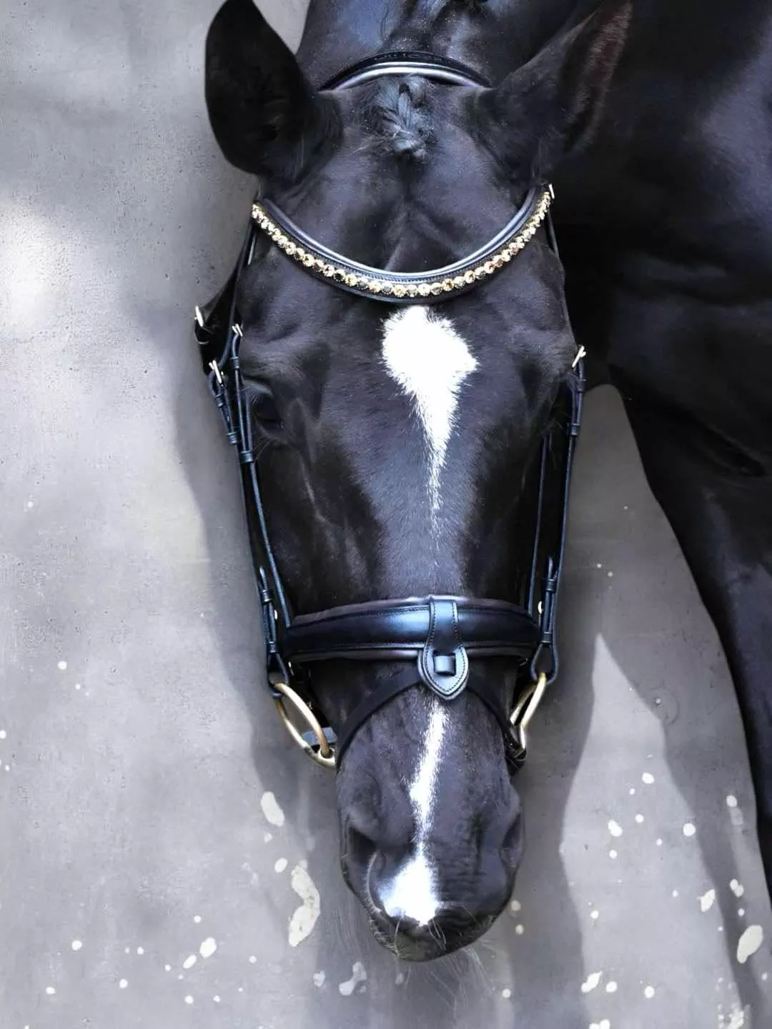 Bridle "Cookie" on Italian leather and European crystals