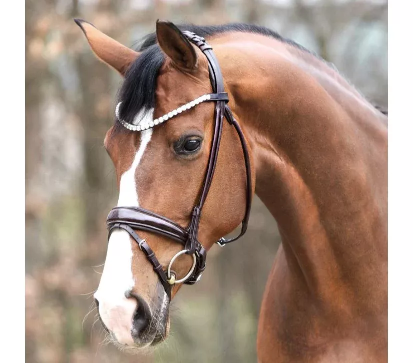 Bridle Florina round-stitched