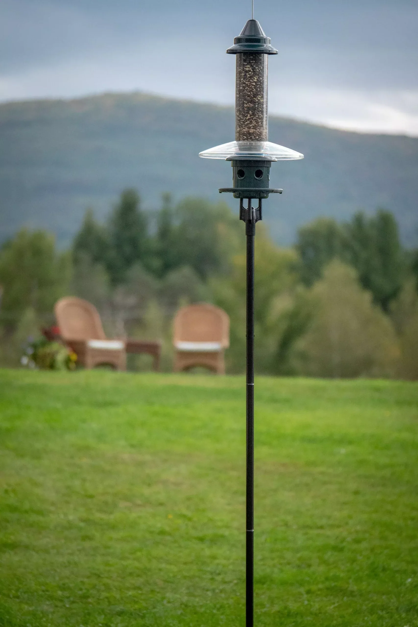 Brome Birdsup Single Pole 5 ft Black