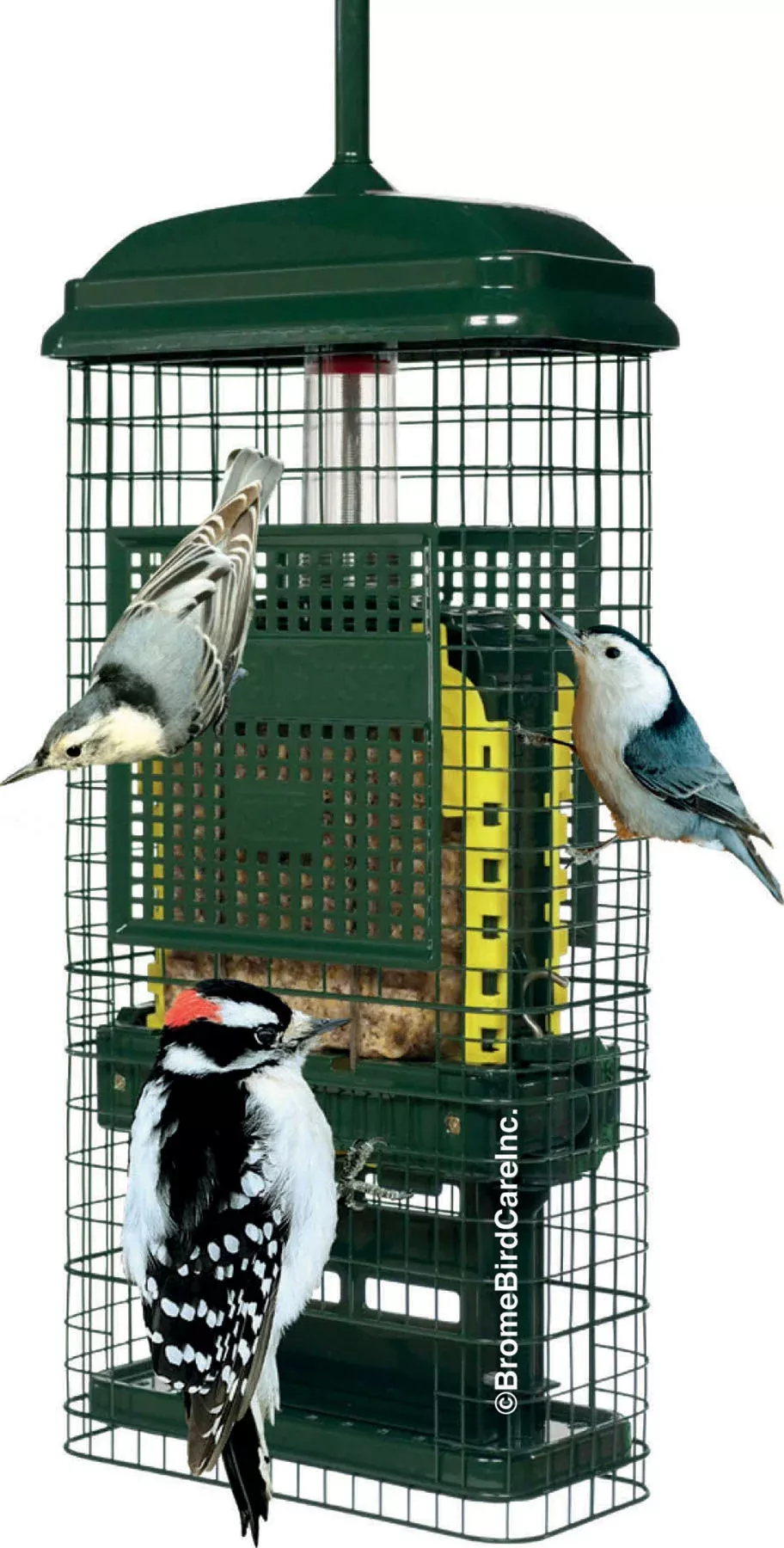 Brome Squirrel Buster Suet Wild Bird Feeder, 2-Cake Capacity, Green