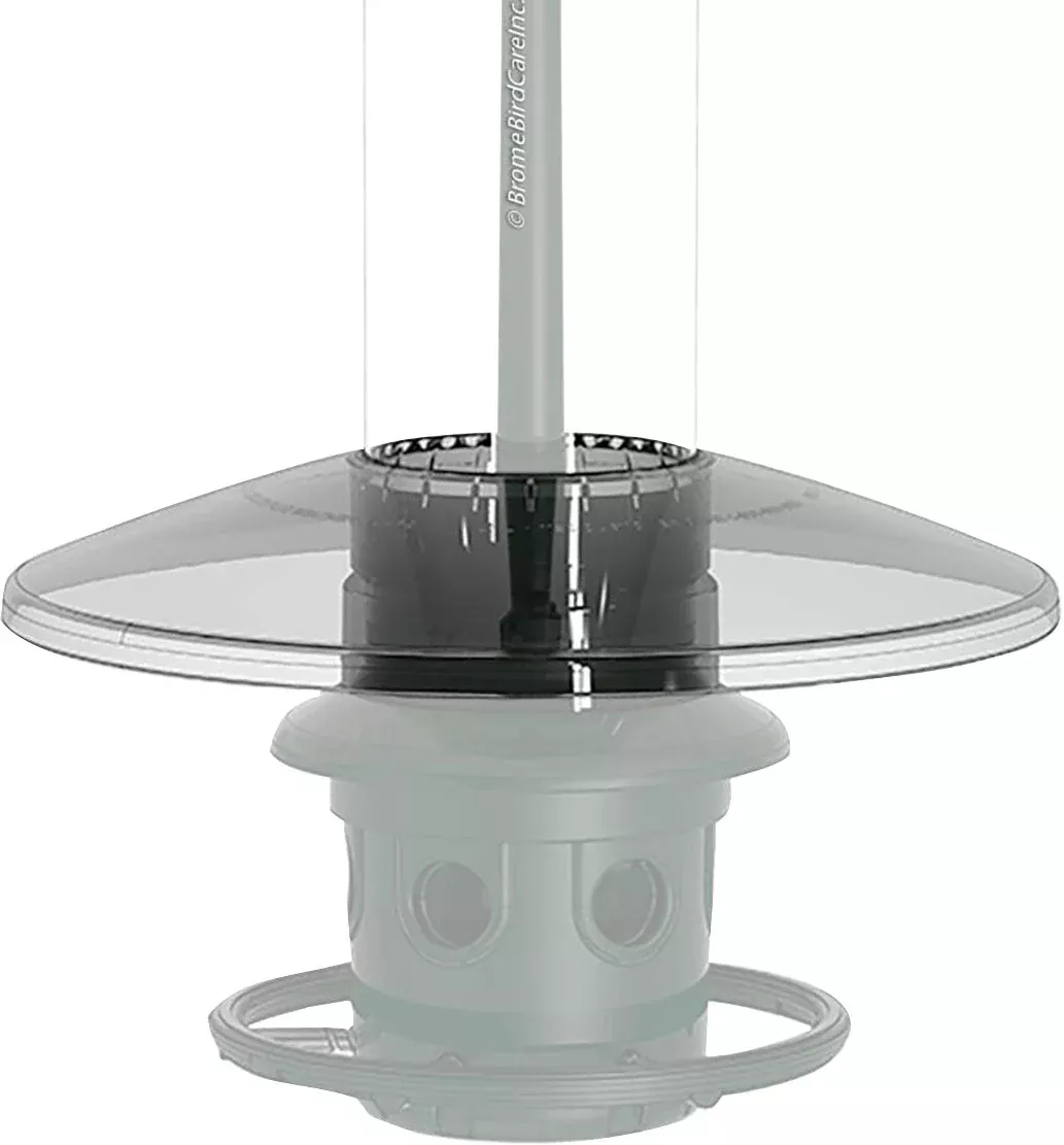 Brome Squirrel Buster Weather Guard, Clear