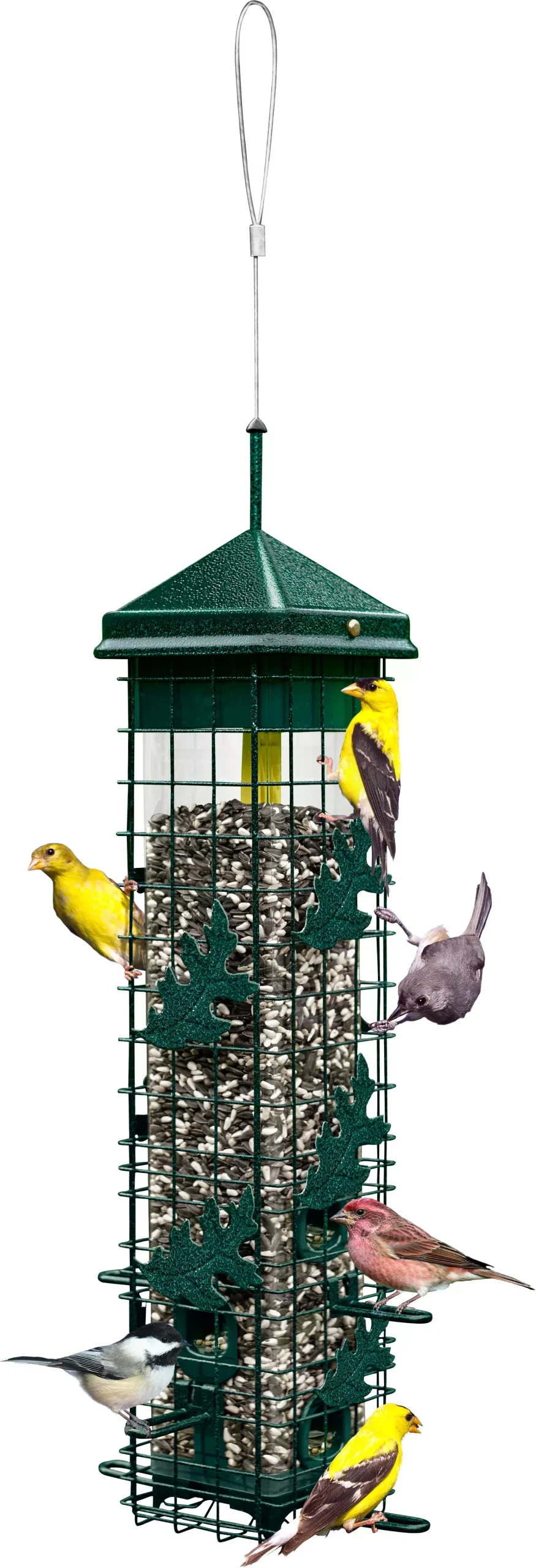 Brome Squirrel Solution 200 Wild Bird Feeder Forest Green 3.4 lb Capacity