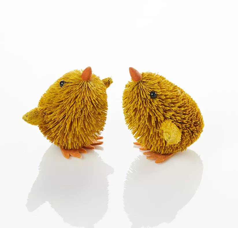 Buri Chicks