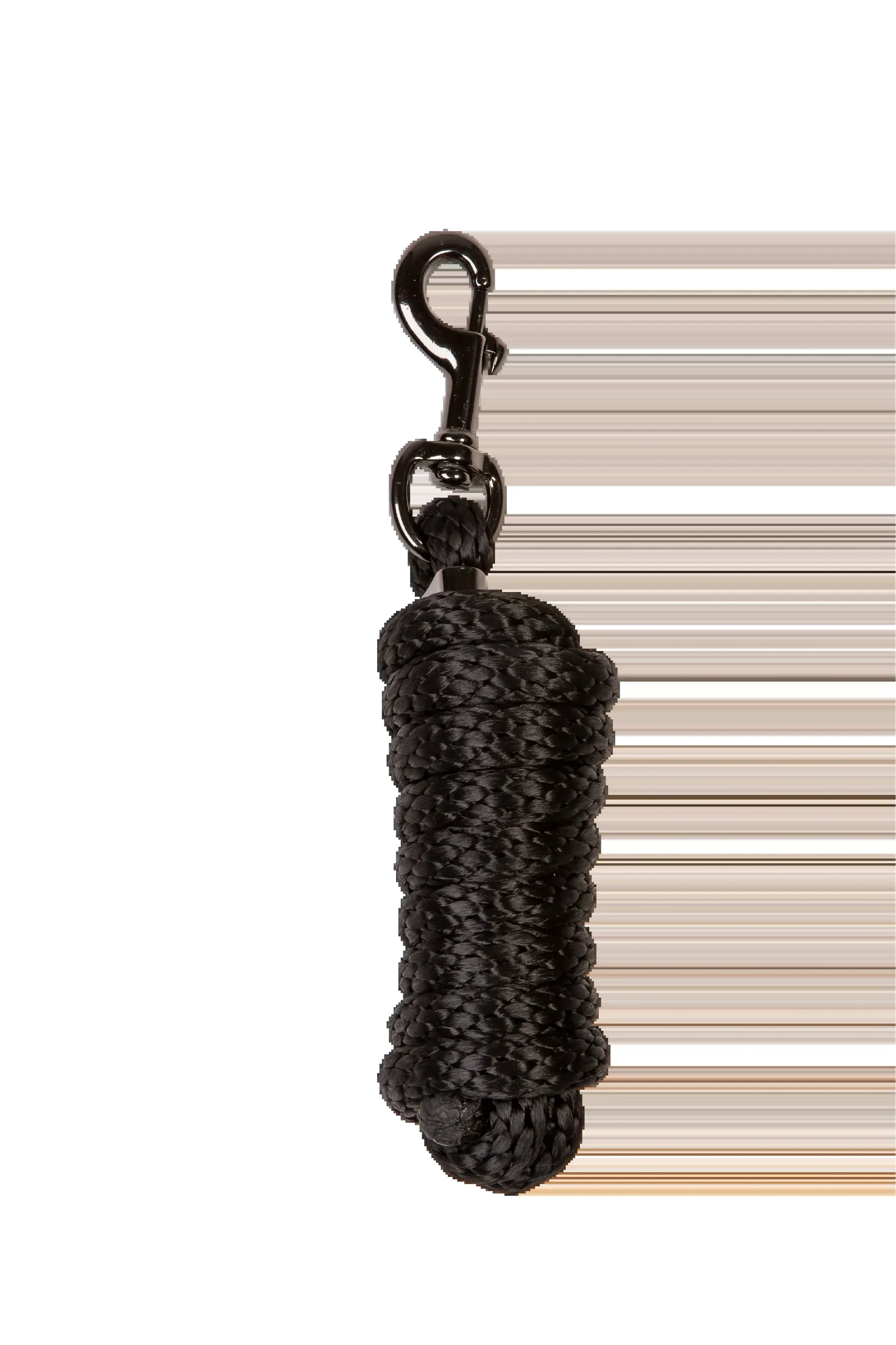 CA Lead Rope