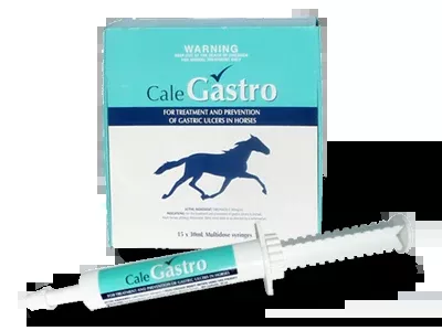 Cale Gastro