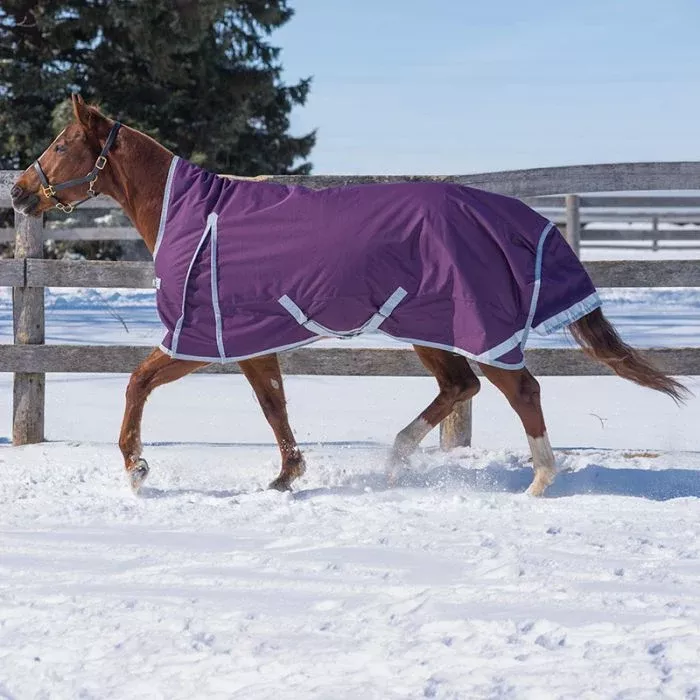 CANADIAN HORSEWEAR DENALI RAINSHEET