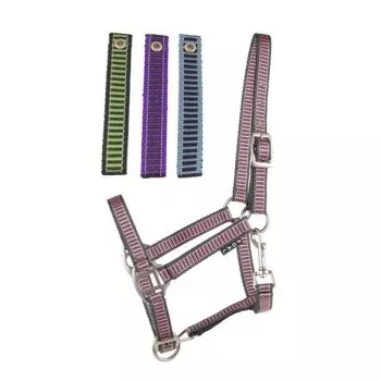 Cavalier Foal Halter