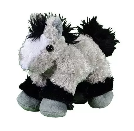 CH Ponies 6901