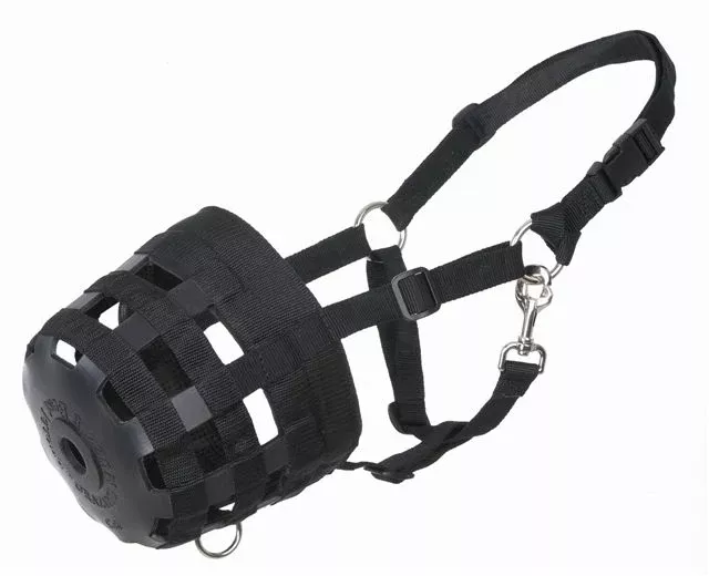 Challenger Horse Grazing Muzzle Lined Heavy Duty Neoprene Breathable Enhanced with Chin Neck Pads Extra Support and Safety