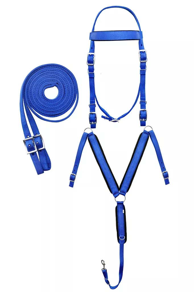 Challenger Horse Tack Set – Browband Headstall, Padded Breast Collar & Matching Split Reins 601J02