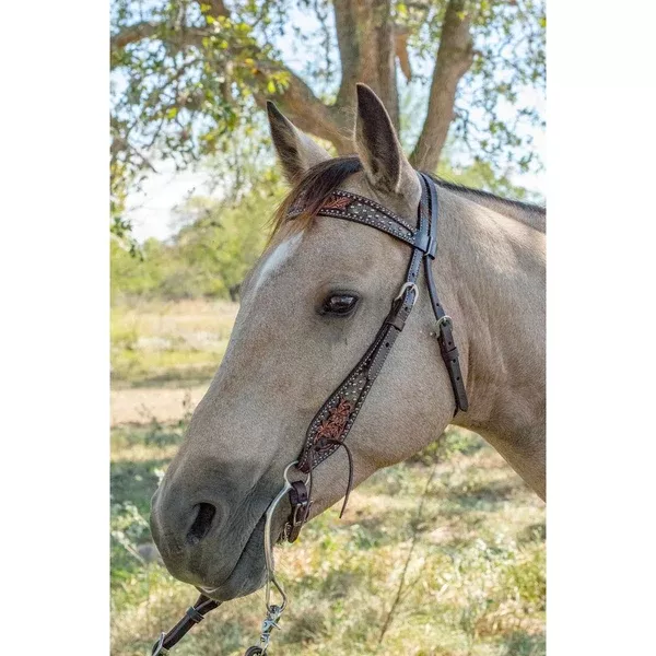 Circle Y Dark Flash Arizona Flower Browband Headstall