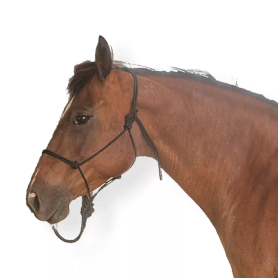 Classic Equine Nylon Rope Halter Black