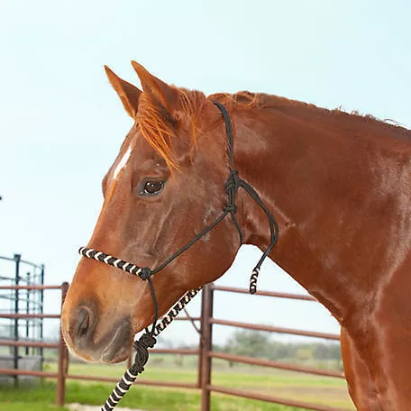 Classic Equine Rope Halter W 8' Foot Lead