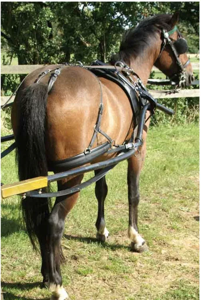 Classic Harness Backband - Zilco