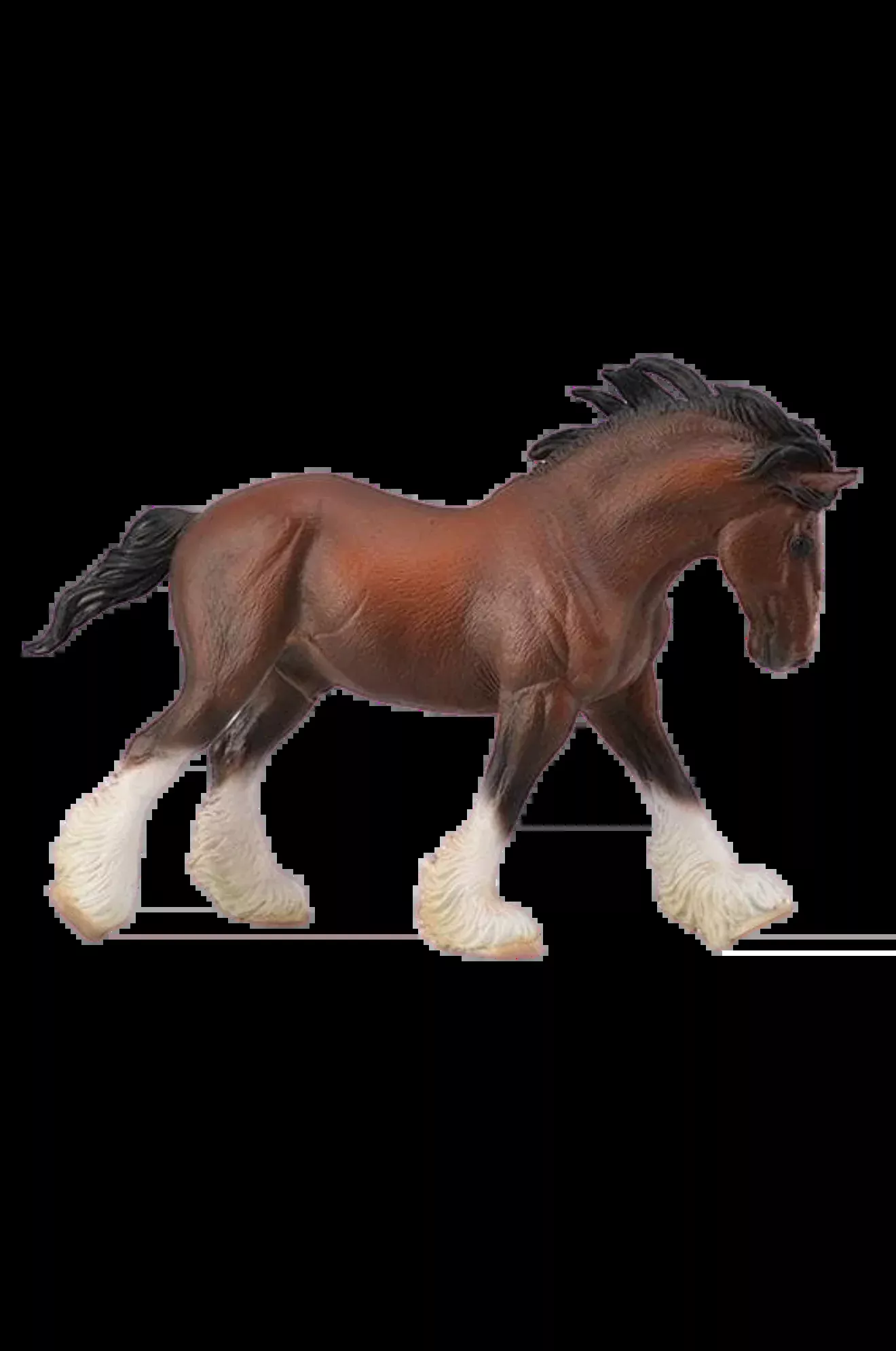 Clydesdale Stallion Bay