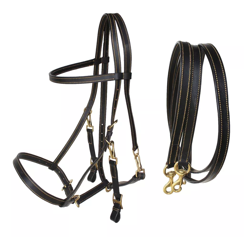 Cob Australian Brown Premium Leather Light Halter Bridle w/ Reins 110B225