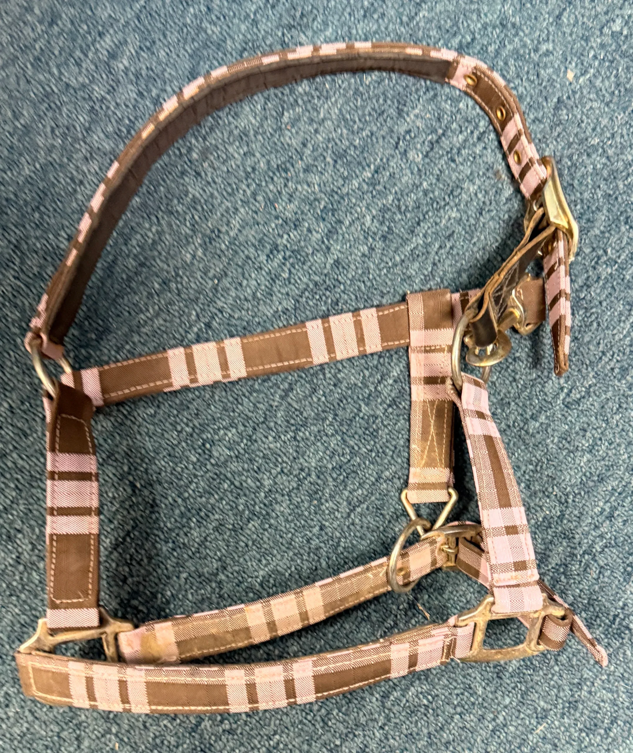 Cob Breakaway halter Pink Brown Plaid