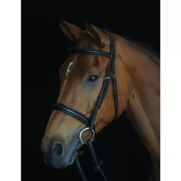 Collegiate Comfort Crown Padded Raised Cavesson Bridle