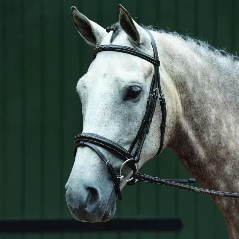 Collegiate Essential Padded Raised Fancy Stitched Flash Bridle – Brown